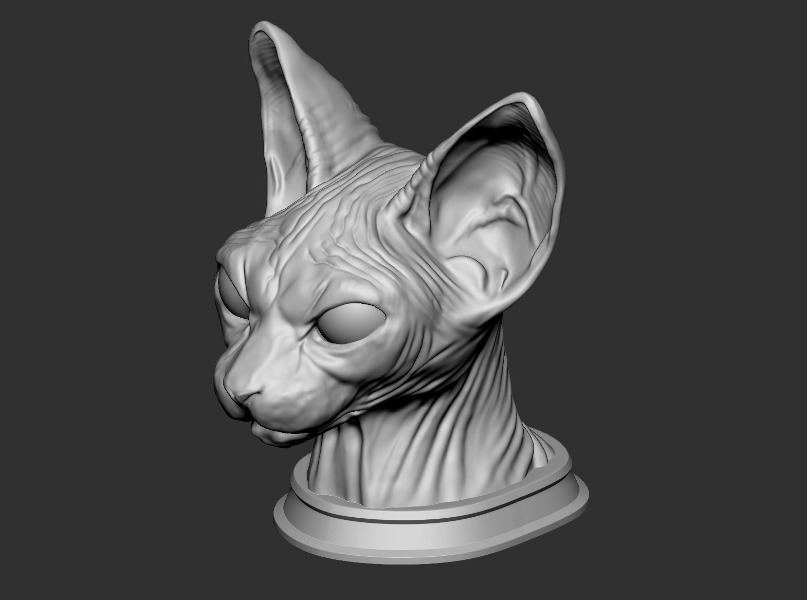 Sphynx Cat 3D Print Model 3D print model_4