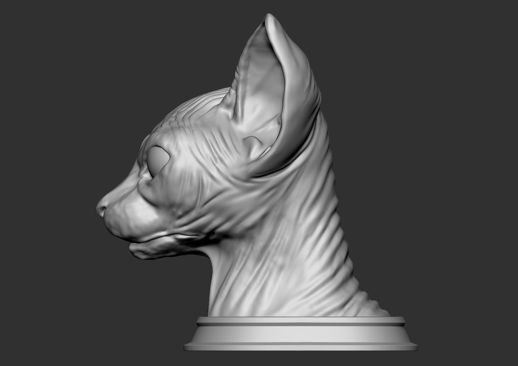 Sphynx Cat 3D Print Model 3D print model_5
