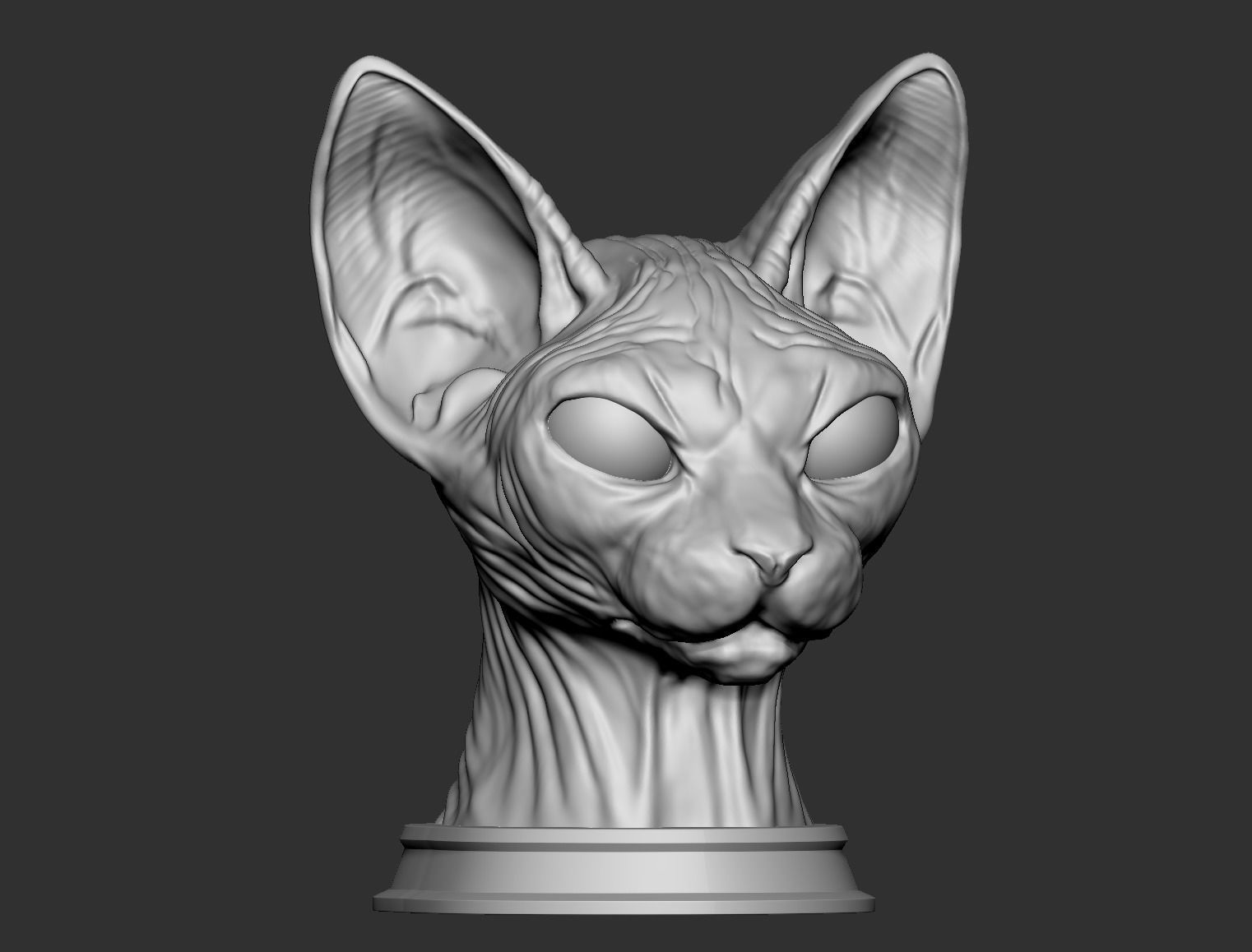 Sphynx Cat 3D Print Model 3D print model_3