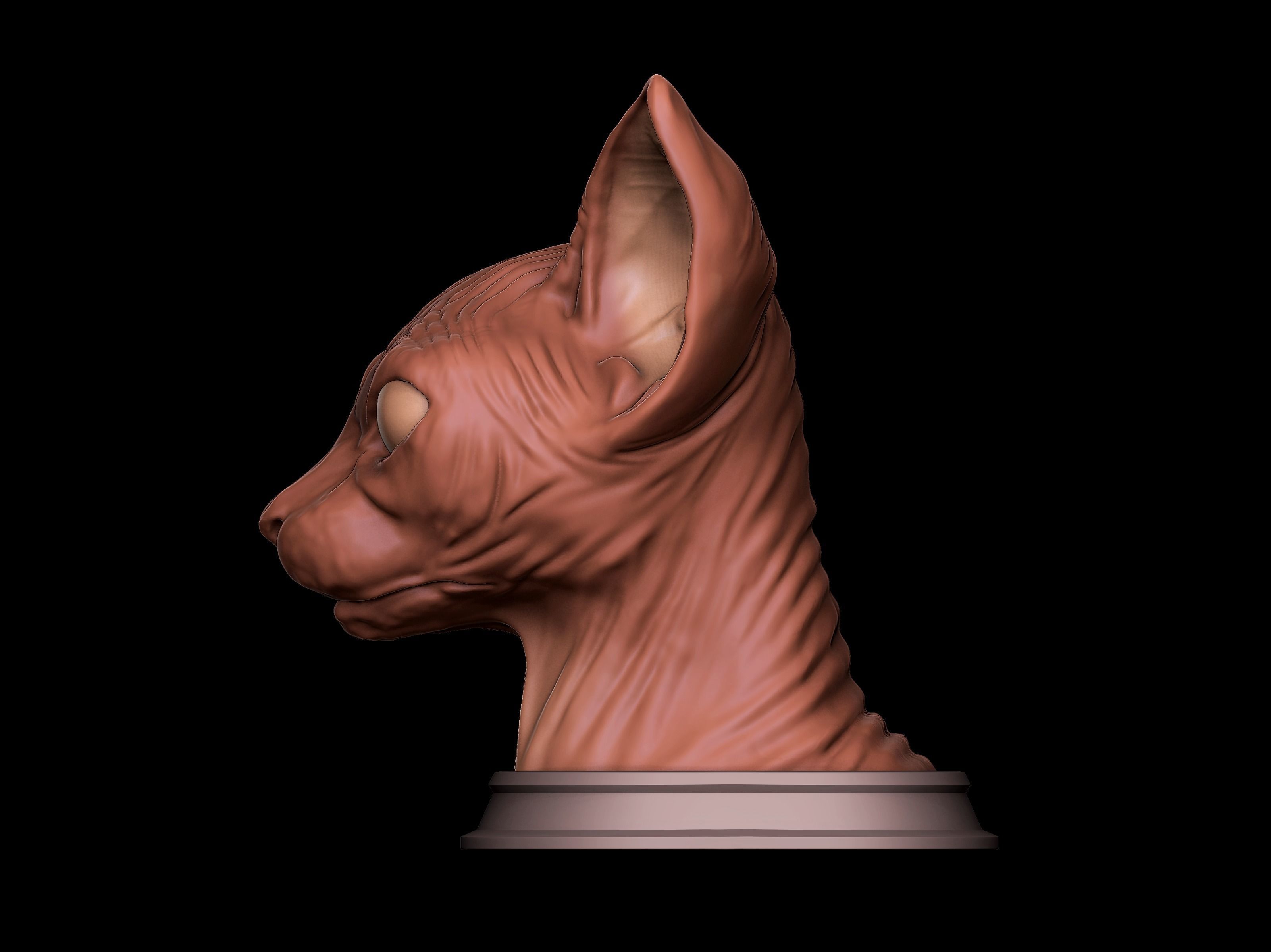 Sphynx Cat 3D Print Model 3D print model_1