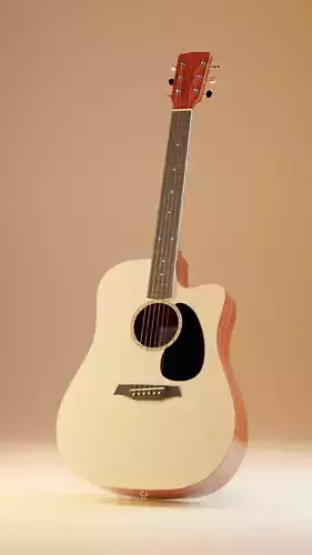Acoustic Guitar