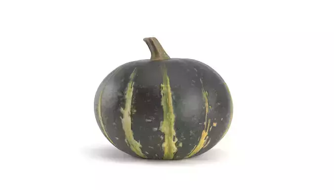 Decorative Pumpkin Gourd 1 3D model