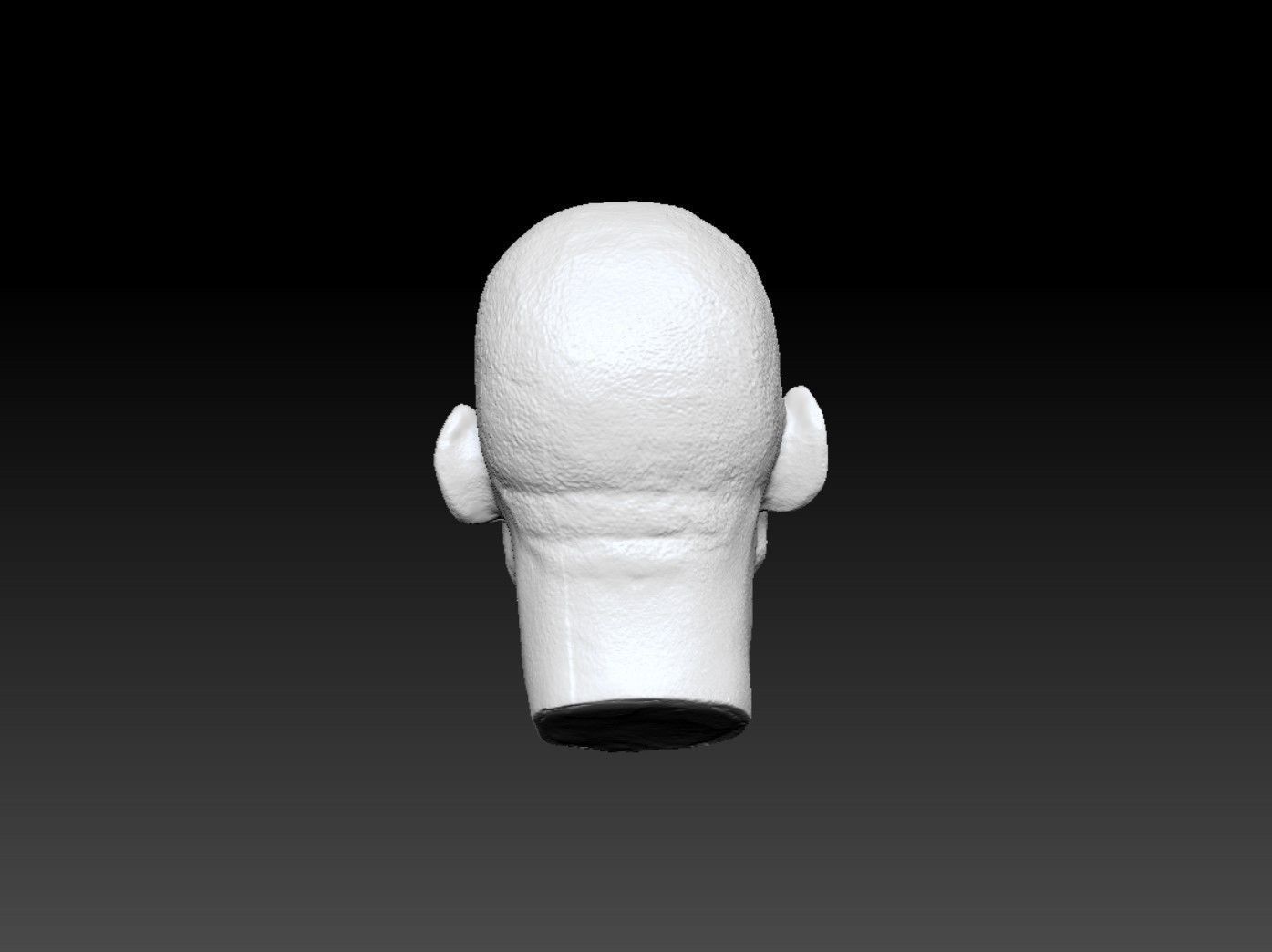 Will Smith Head sculpture 3D print model 3D print model_5