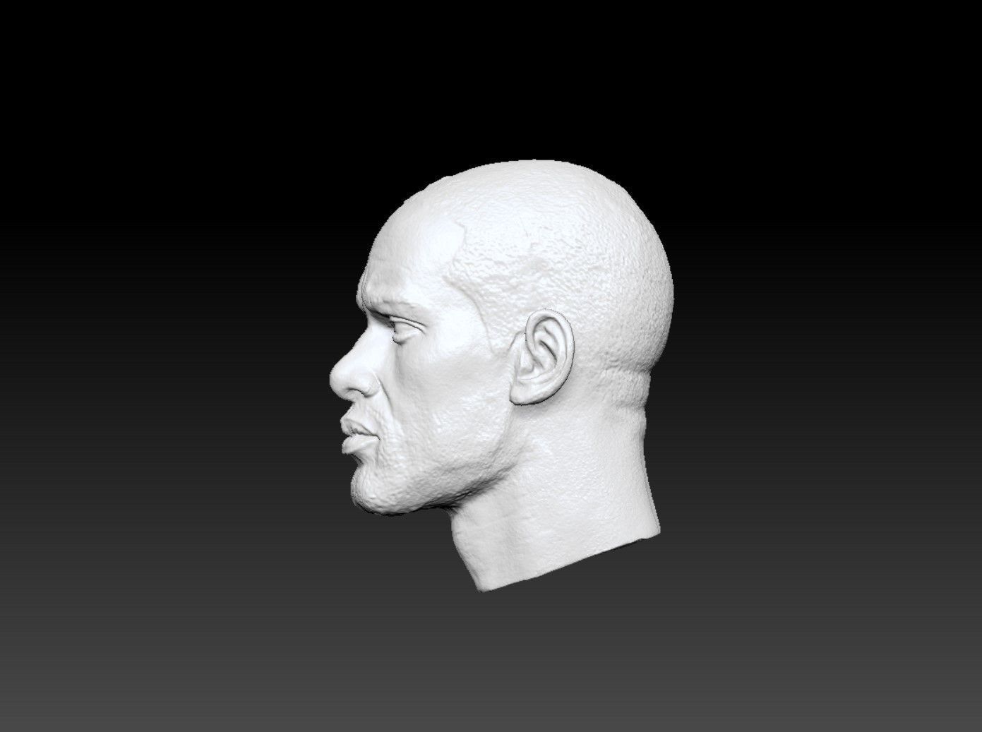 Will Smith Head sculpture 3D print model 3D print model_4
