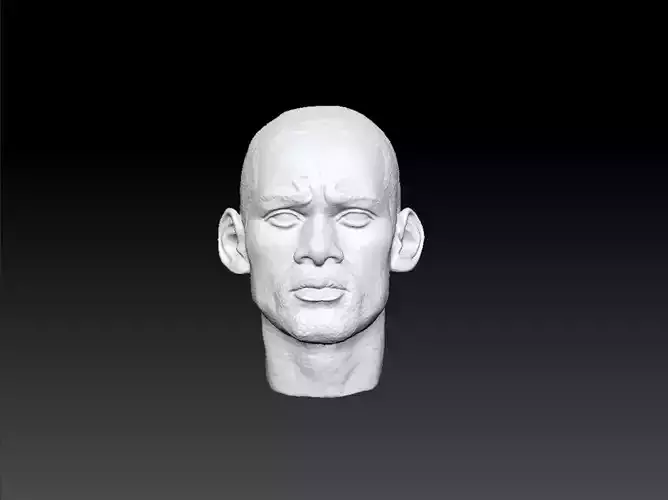 Will Smith Head sculpture 3D print model