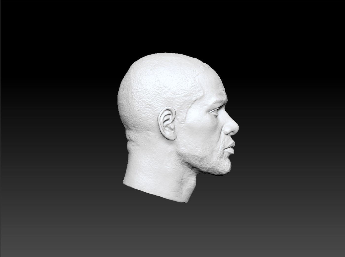 Will Smith Head sculpture 3D print model 3D print model_3