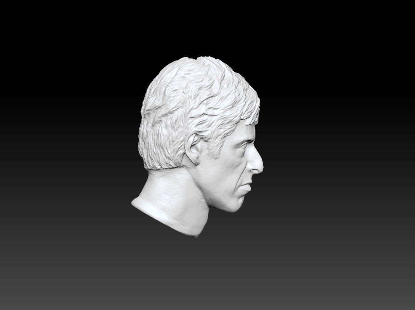 Al Pacino Scarface Head Sculpture 3D Print Model 3D Model 3D Printable Al Pacino Scarface Head Sculpture 3D Print Model 3D Model 3D Printable