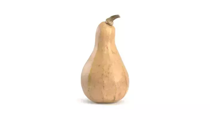 Decorative Pumpkin Gourd 2 3D model