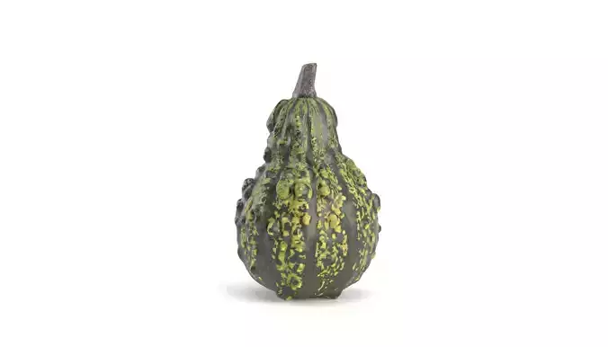Decorative Pumpkin Gourd 3 3D model