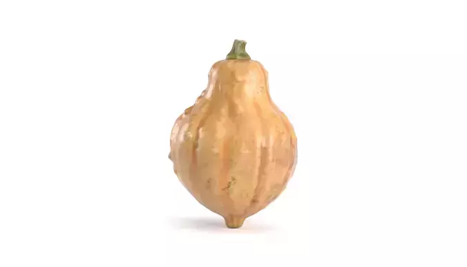 Decorative Pumpkin Gourd 4 3D model