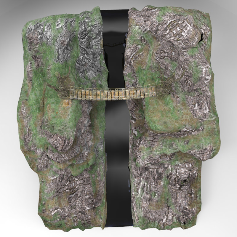 Raven Ravine 3D model_6