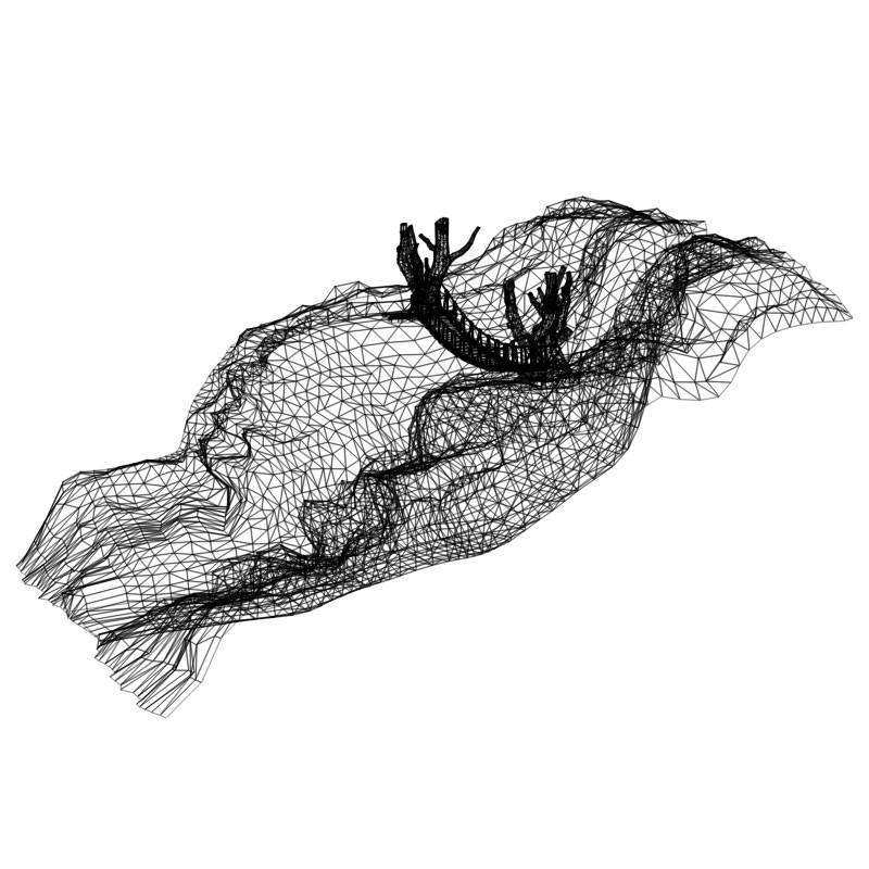 Raven Ravine 3D model_9