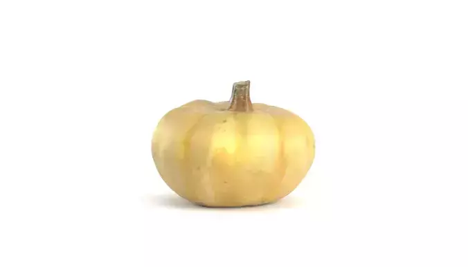 Decorative Pumpkin Gourd 1 3D model