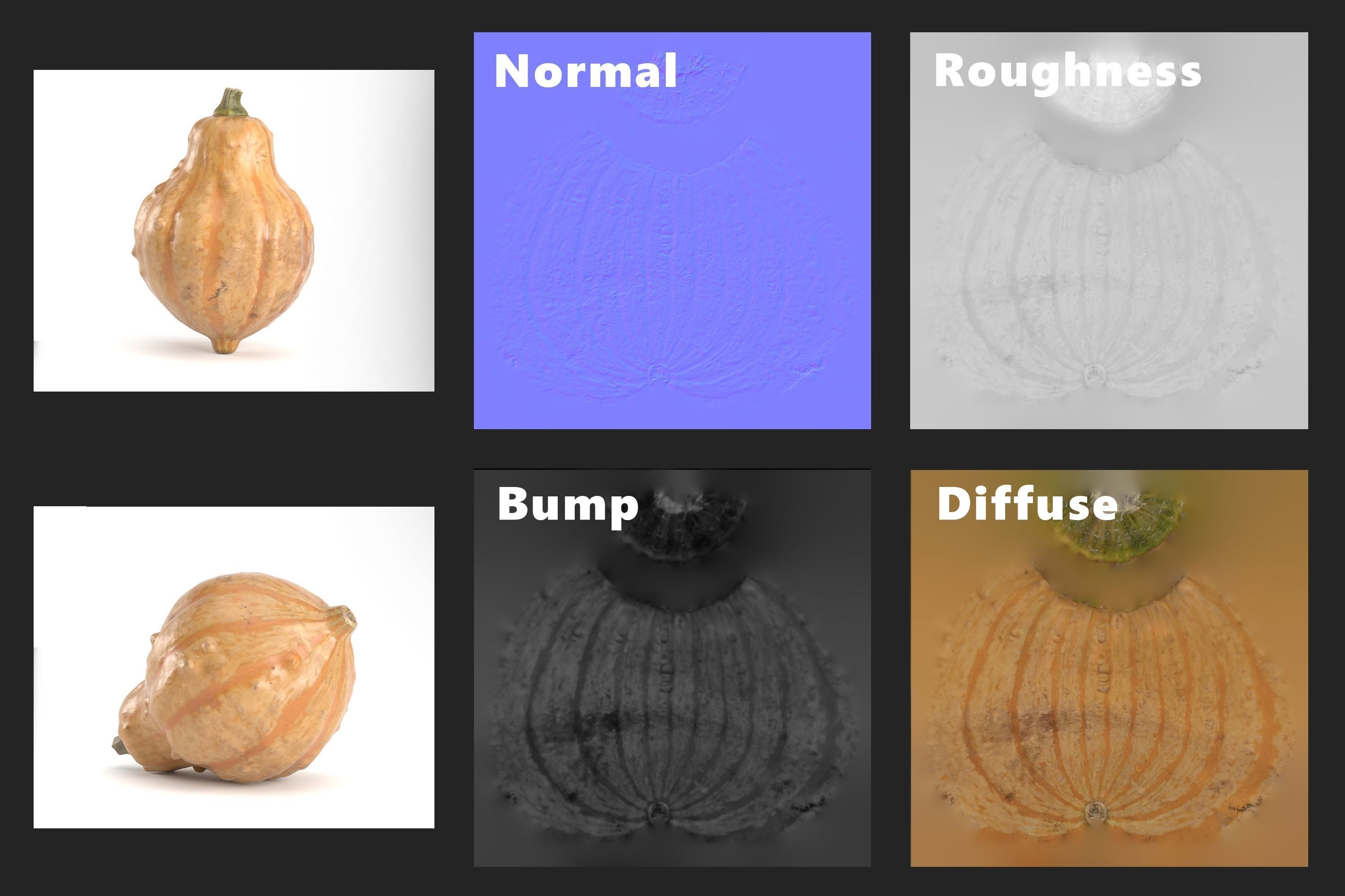 3D Pumpkin models 3D Model Collection_11