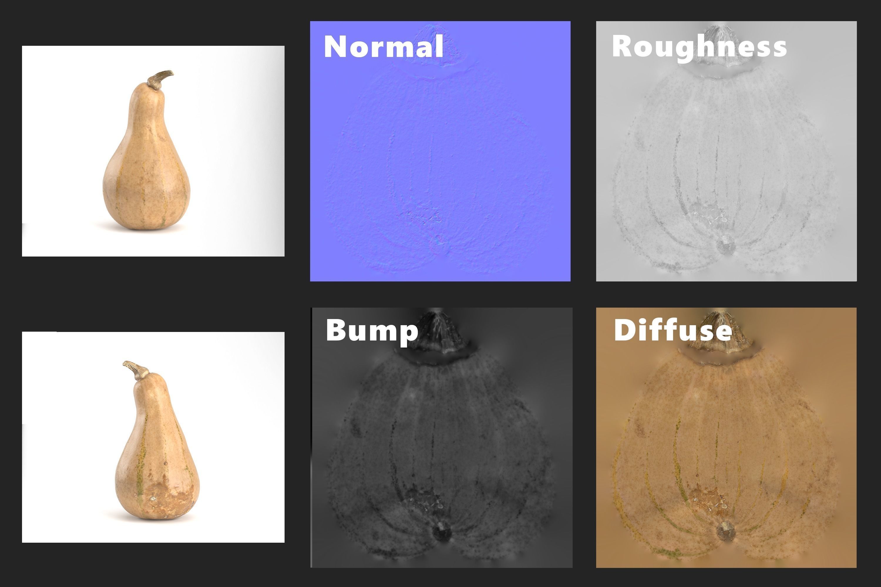 3D Pumpkin models 3D Model Collection_9