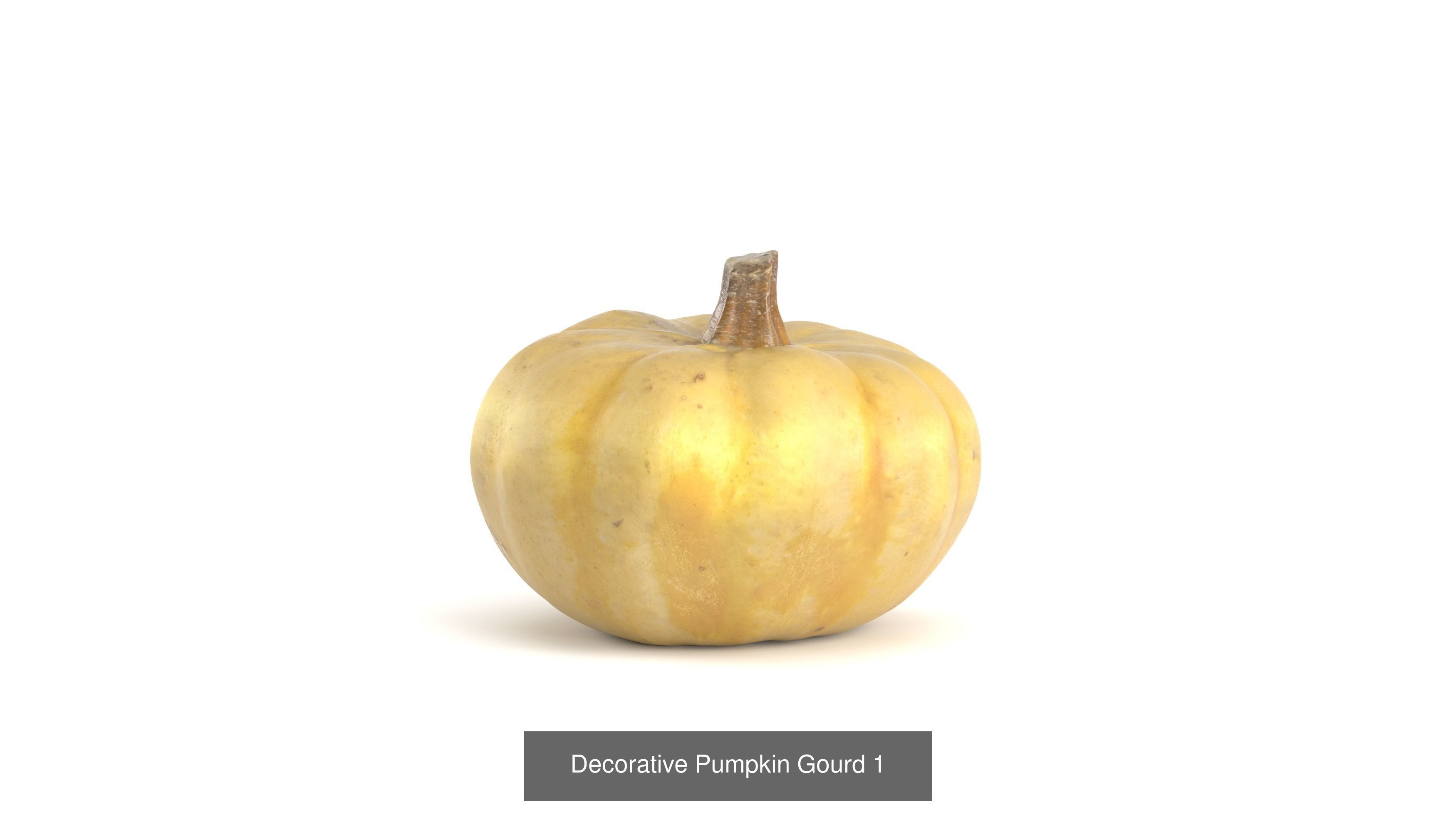 3D Pumpkin models 3D Model Collection_7