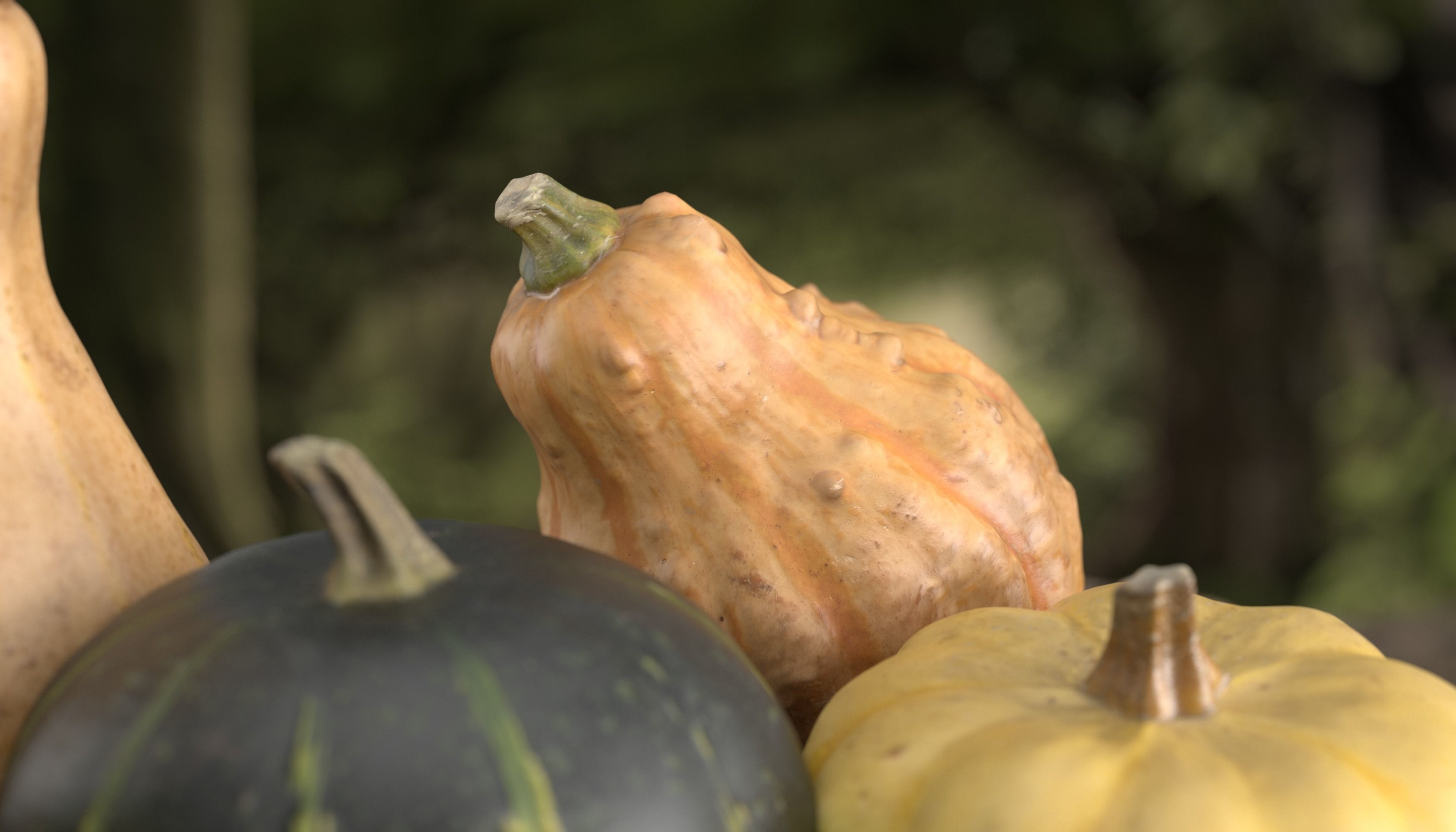 3D Pumpkin models 3D Model Collection_1