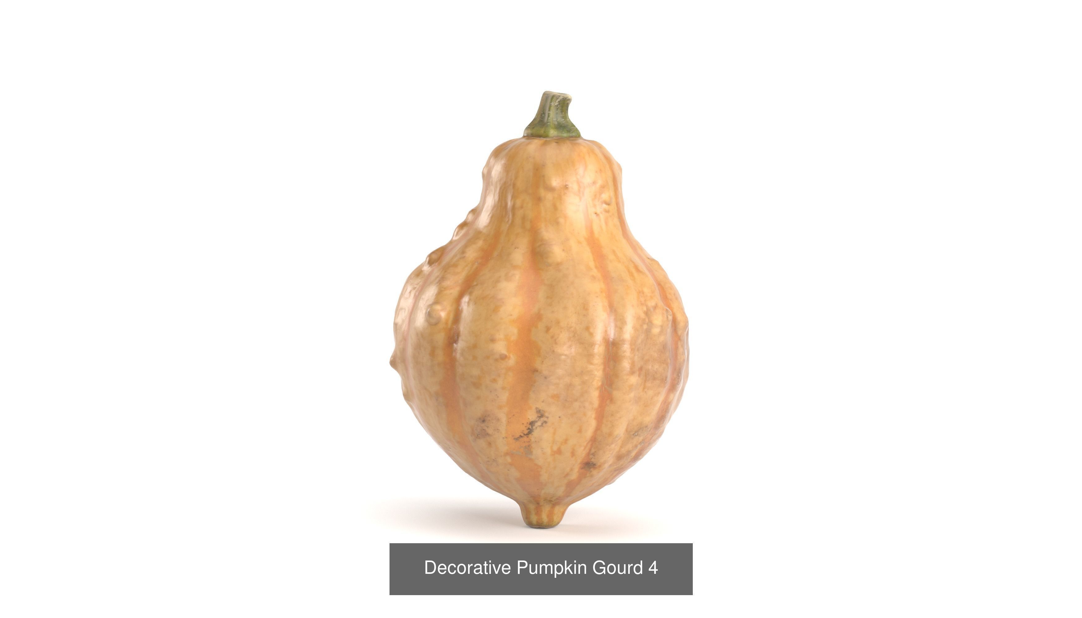 3D Pumpkin models 3D Model Collection_6