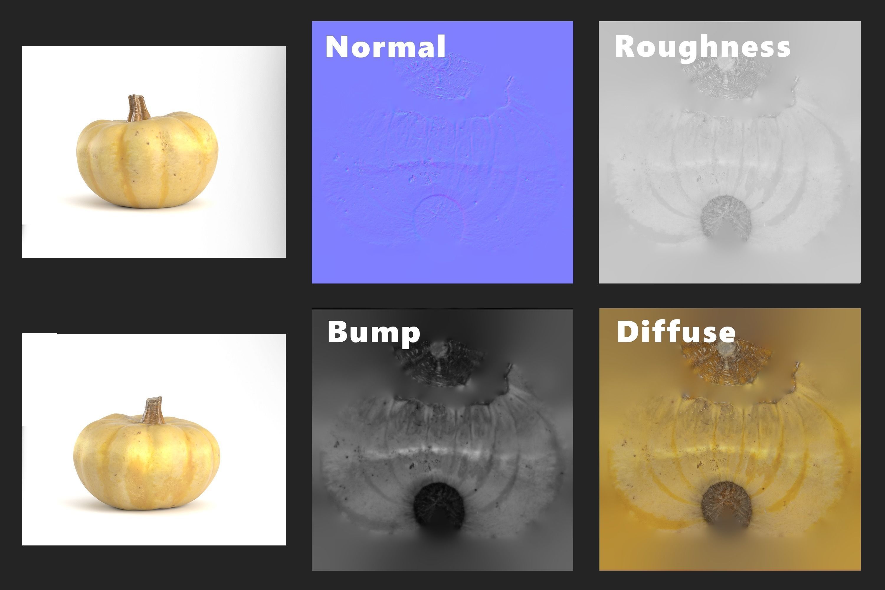 3D Pumpkin models 3D Model Collection_12