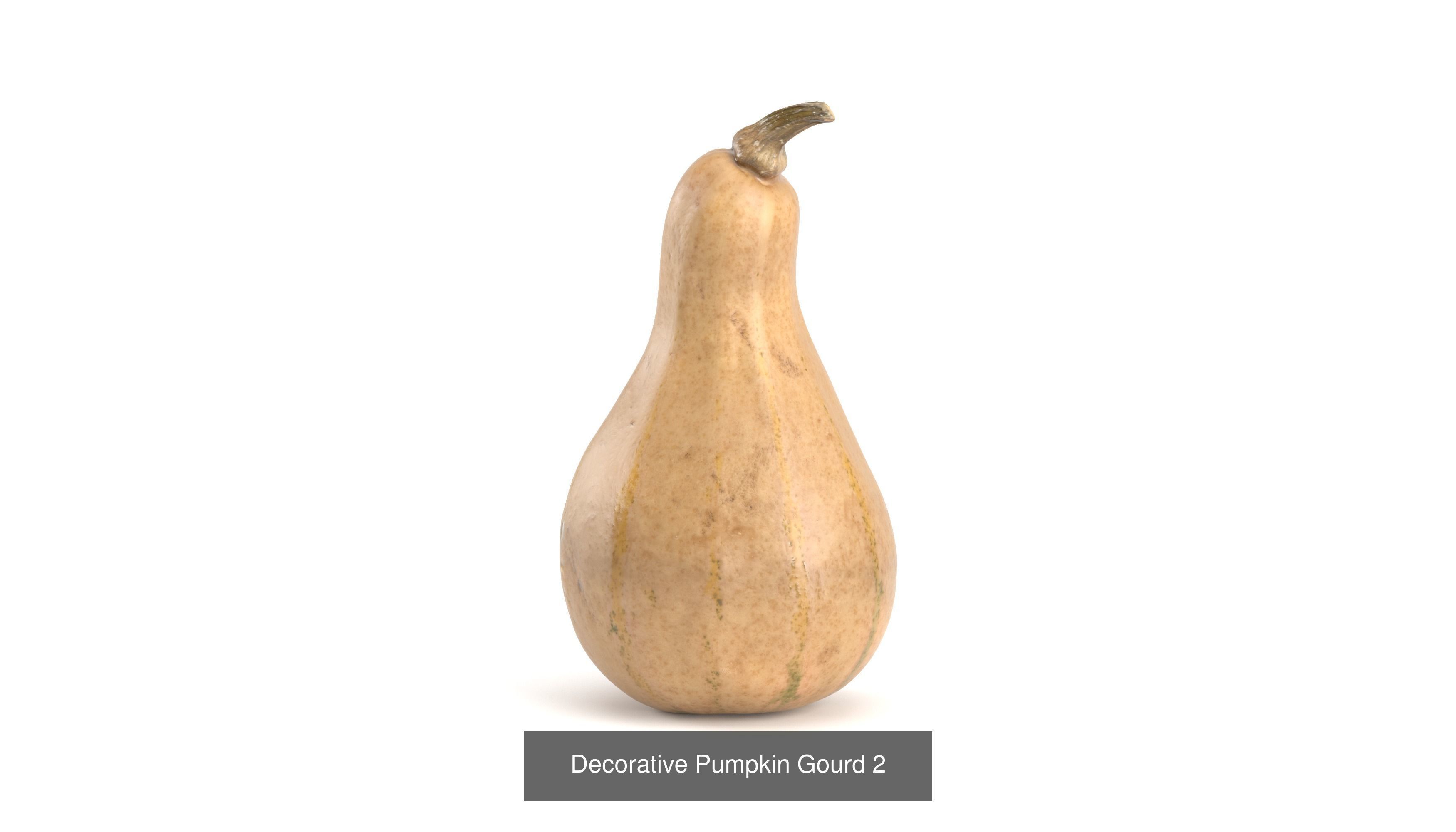 3D Pumpkin models 3D Model Collection_4