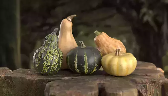 3D Pumpkin models  3D Model Collection