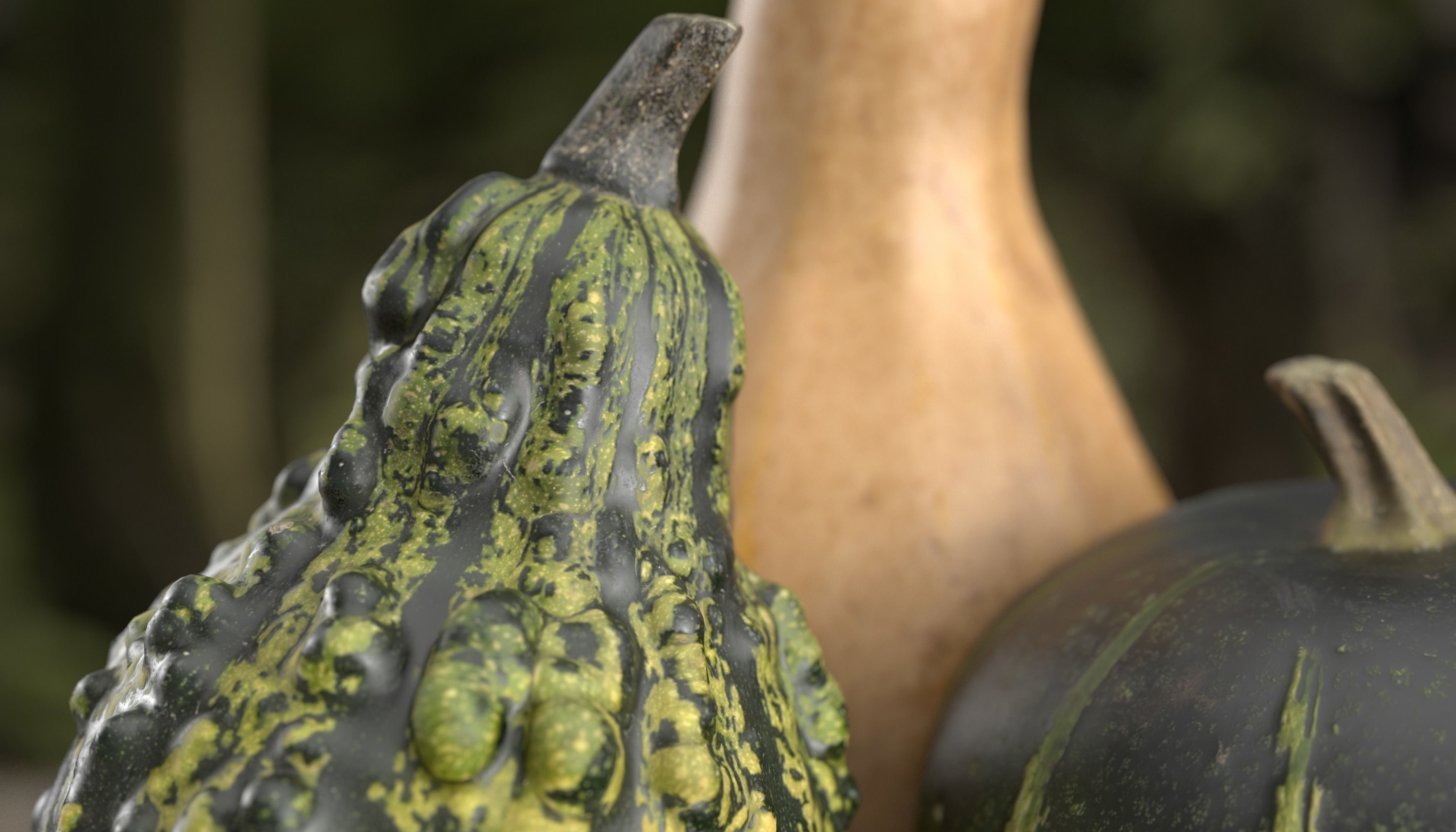 3D Pumpkin models 3D Model Collection_2