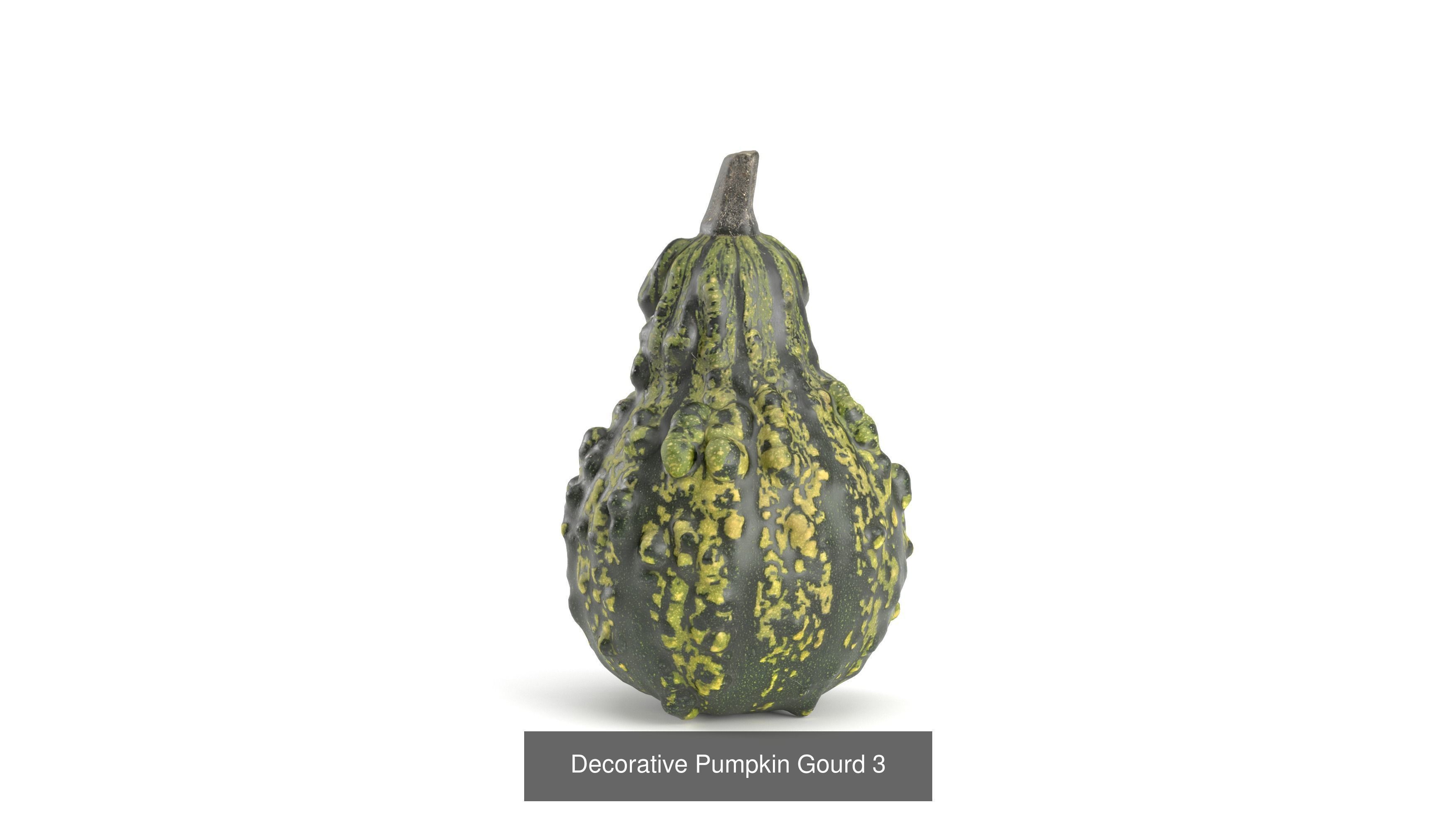 3D Pumpkin models 3D Model Collection_5
