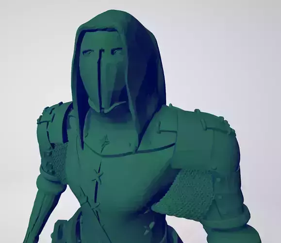 Masked assasin fighter 