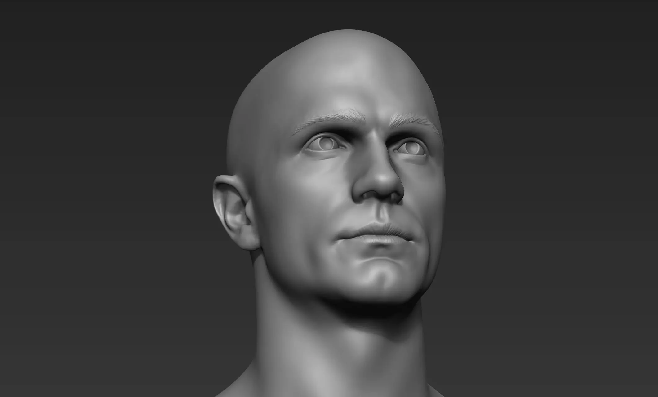 Male Head Sculpt 4 3D model