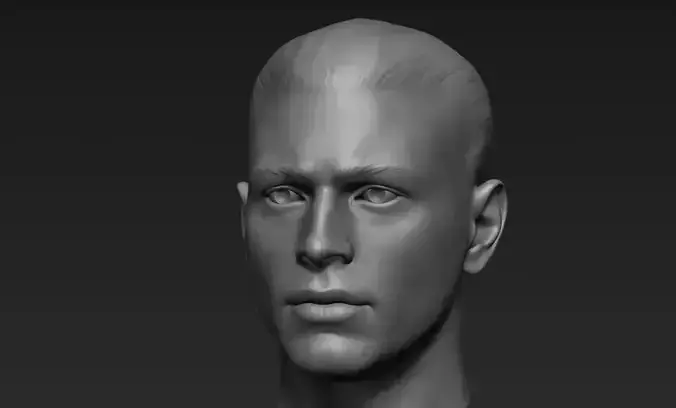 Male Head Sculpt 5 3D model