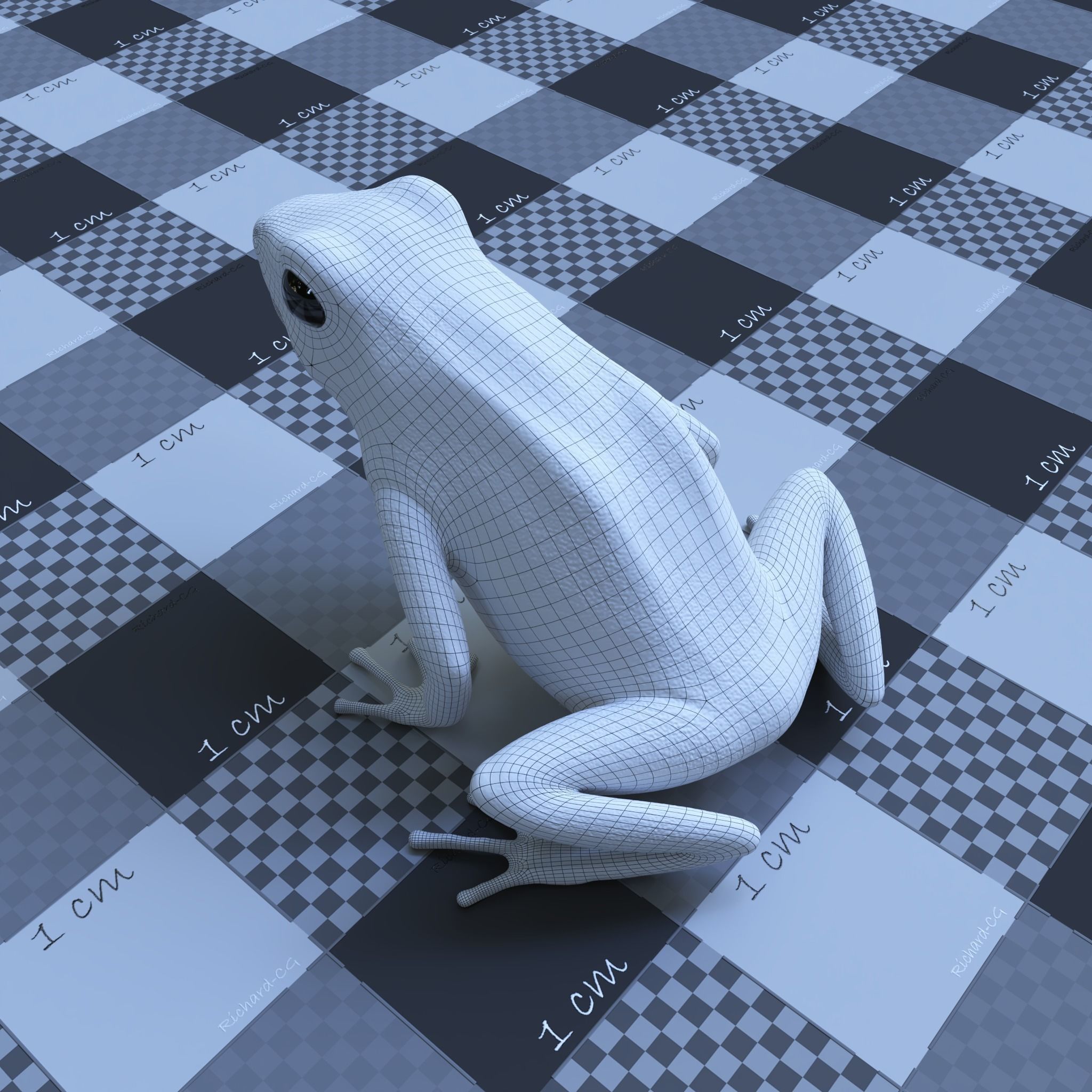 Bumblebee Poison Dart Frog V2 3D model_13