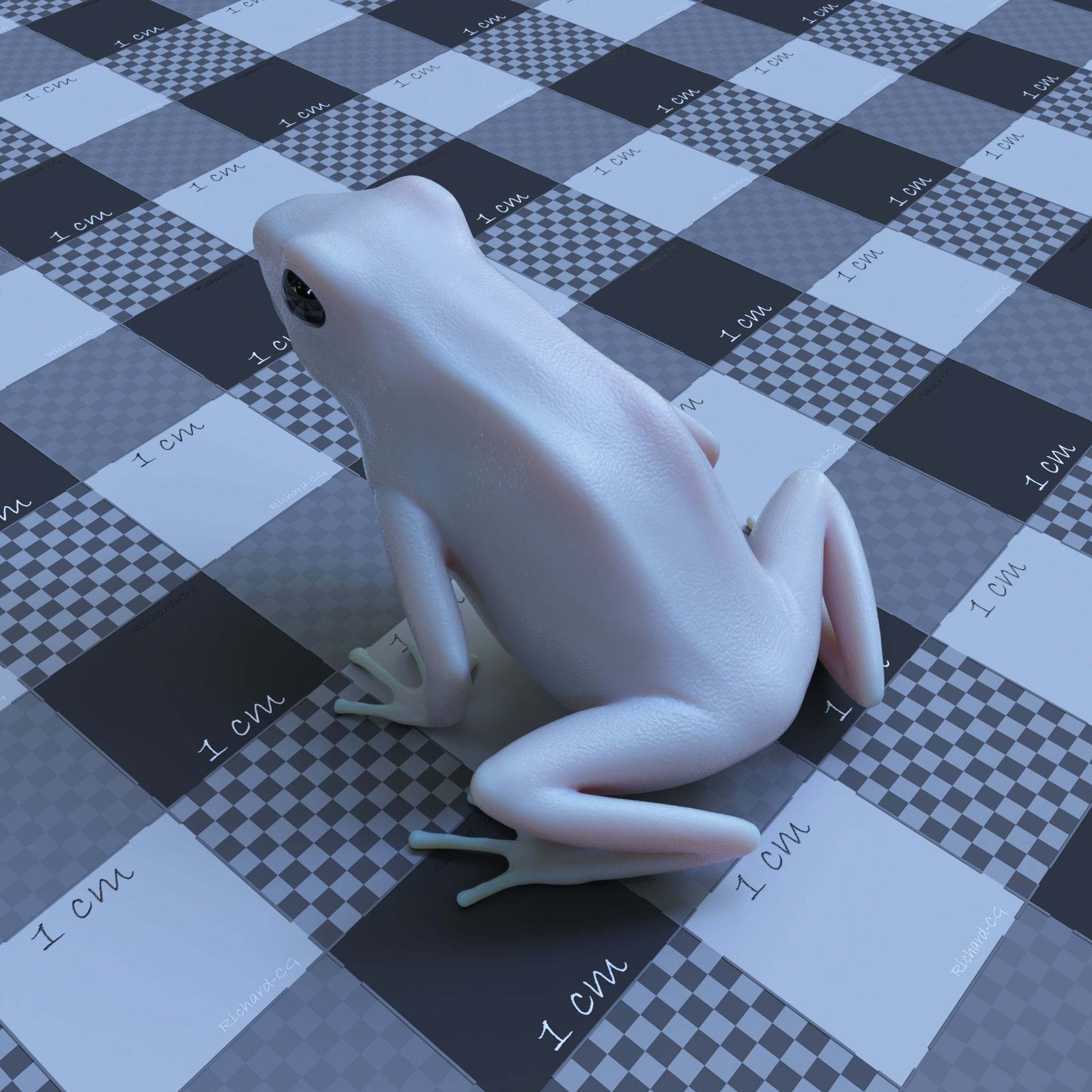 Bumblebee Poison Dart Frog V2 3D model_12