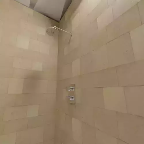shower for a clean baathroom Low-poly 3D model