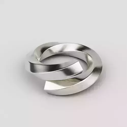 Twisted Spiral Ring 3D model