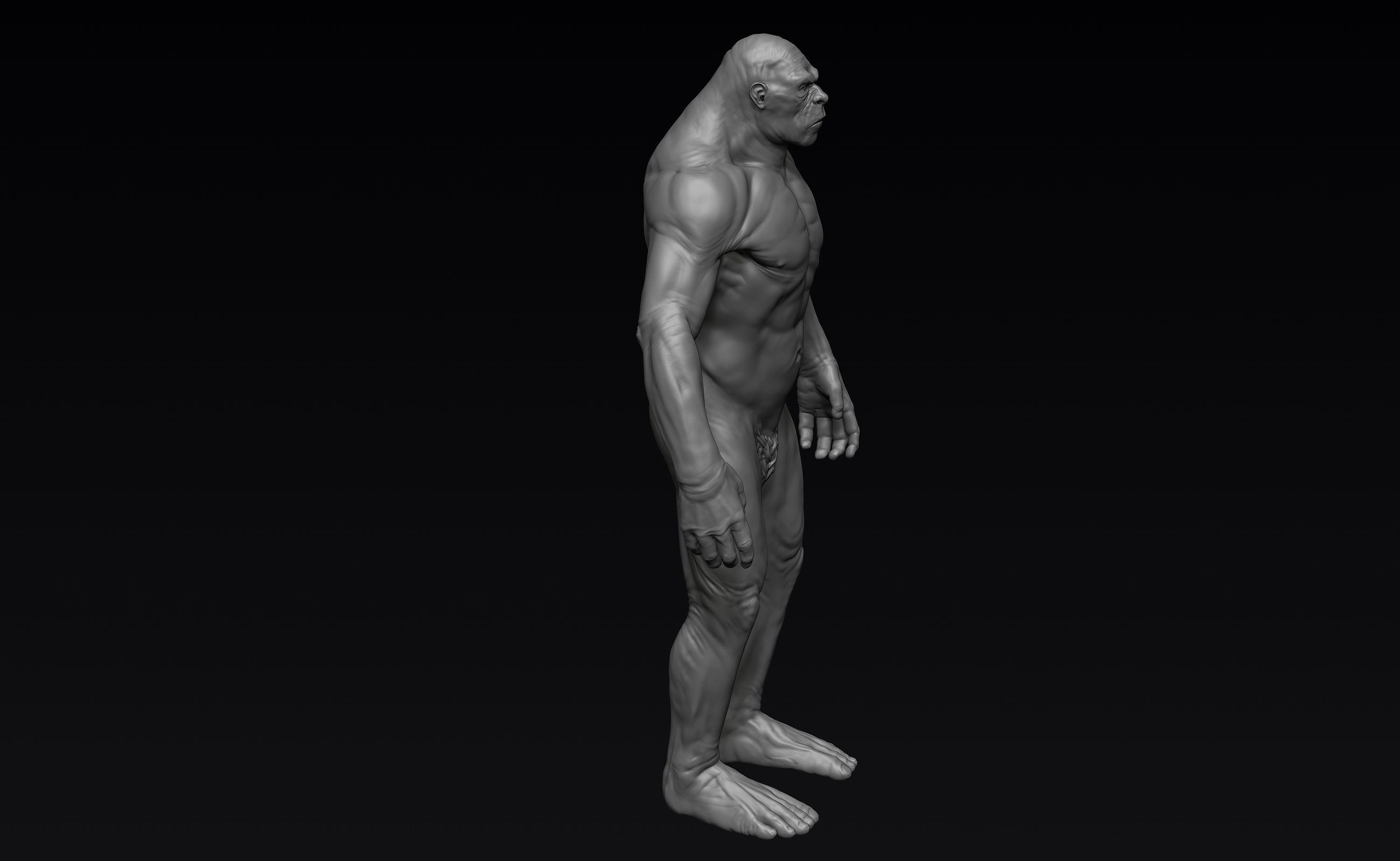 Sasquatch naked man 3D model_5