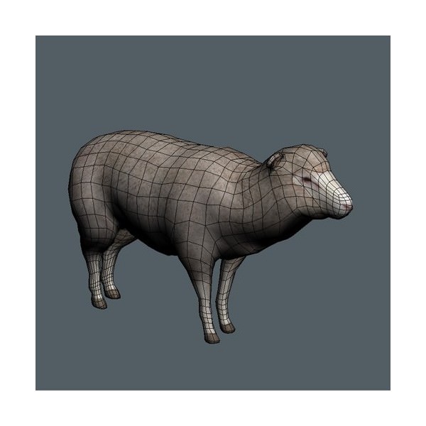 4 Animated Animals For Games Low-poly 3D model_11