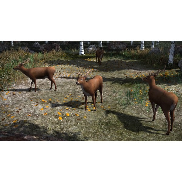 4 Animated Animals For Games Low-poly 3D model_3