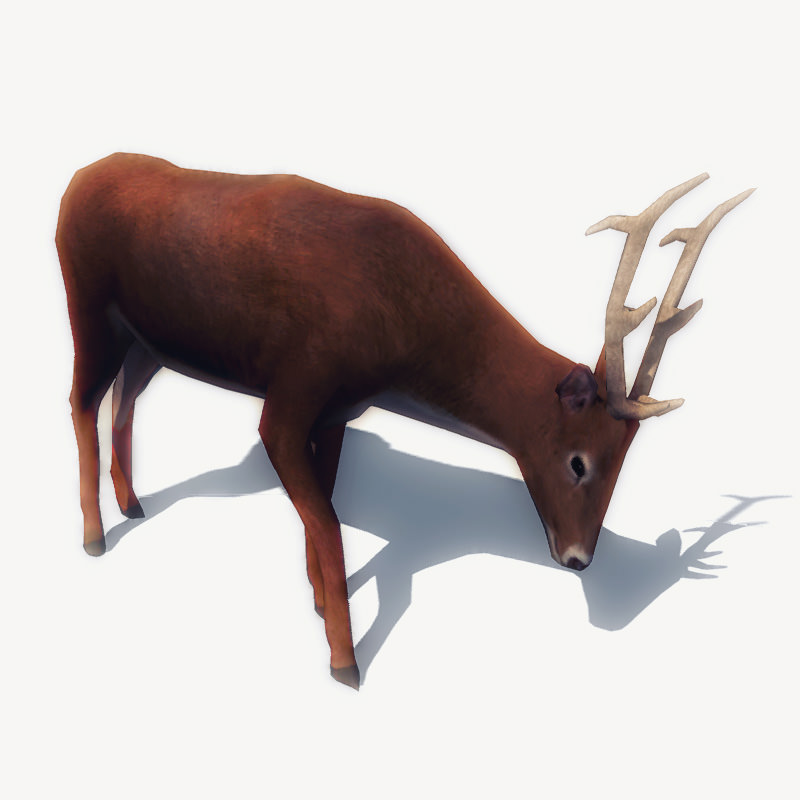 4 Animated Animals For Games Low-poly 3D model_5