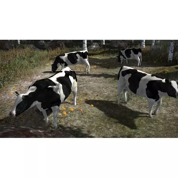 4 Animated Animals For Games Low-poly 3D model_0