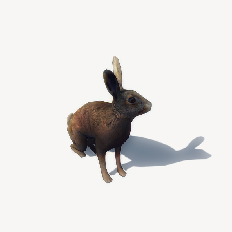 4 Animated Animals For Games Low-poly 3D model_6