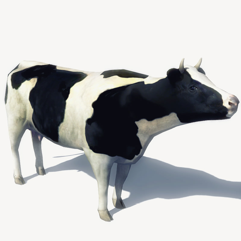 4 Animated Animals For Games Low-poly 3D model_1