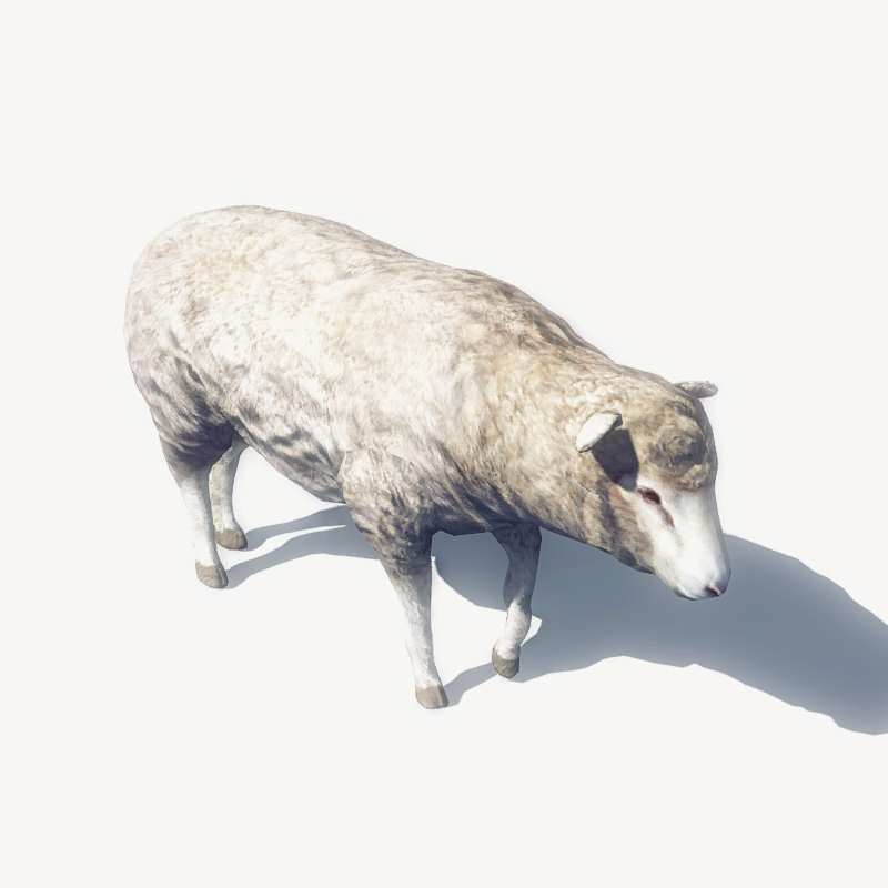 4 Animated Animals For Games Low-poly 3D model_9