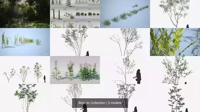 Botanic Collection trees and plants 