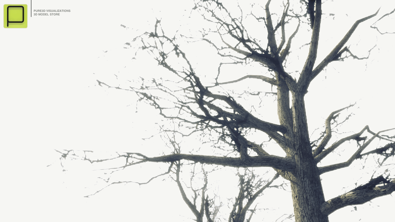 27 Mixed Vegetation Assets For Games Low-poly 3D model_2