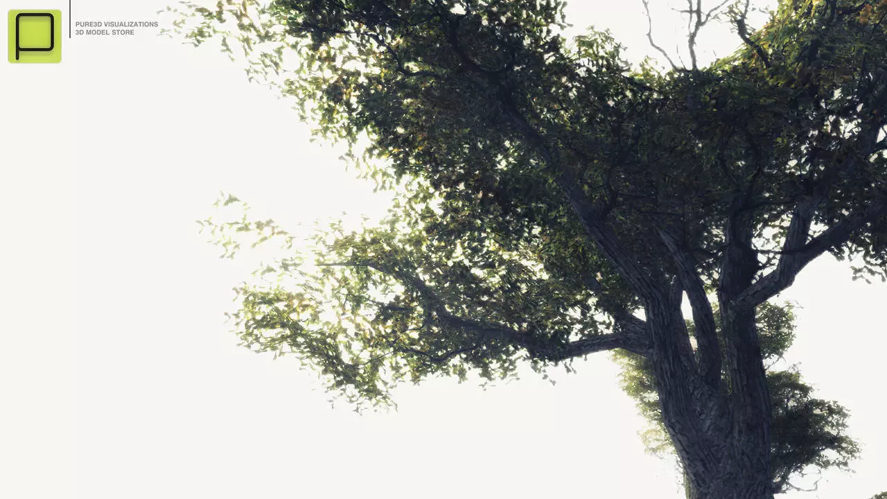 27 Mixed Vegetation Assets For Games Low-poly 3D model_0