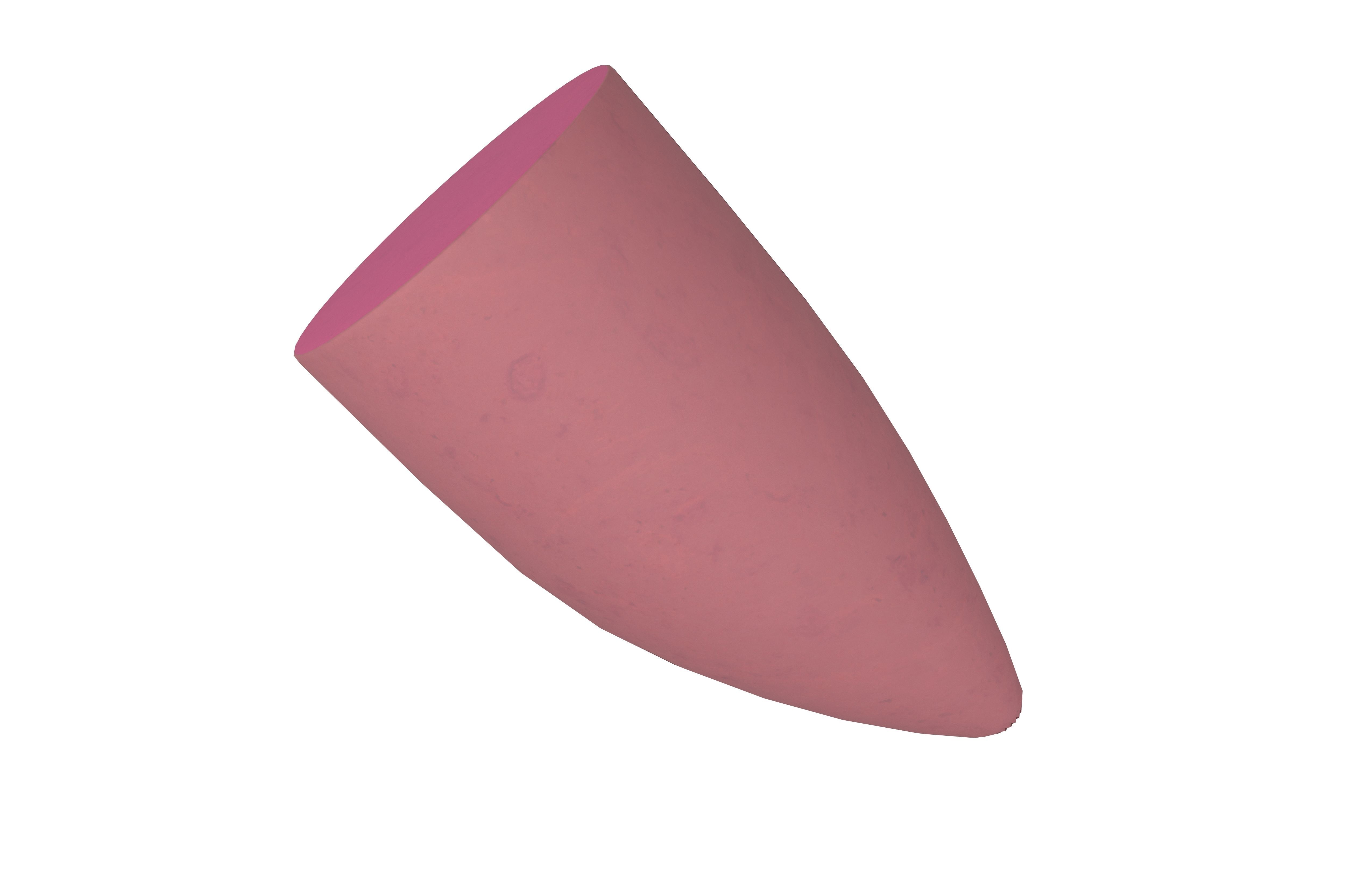 Sweet Potato v1 004 Low-poly 3D model_2