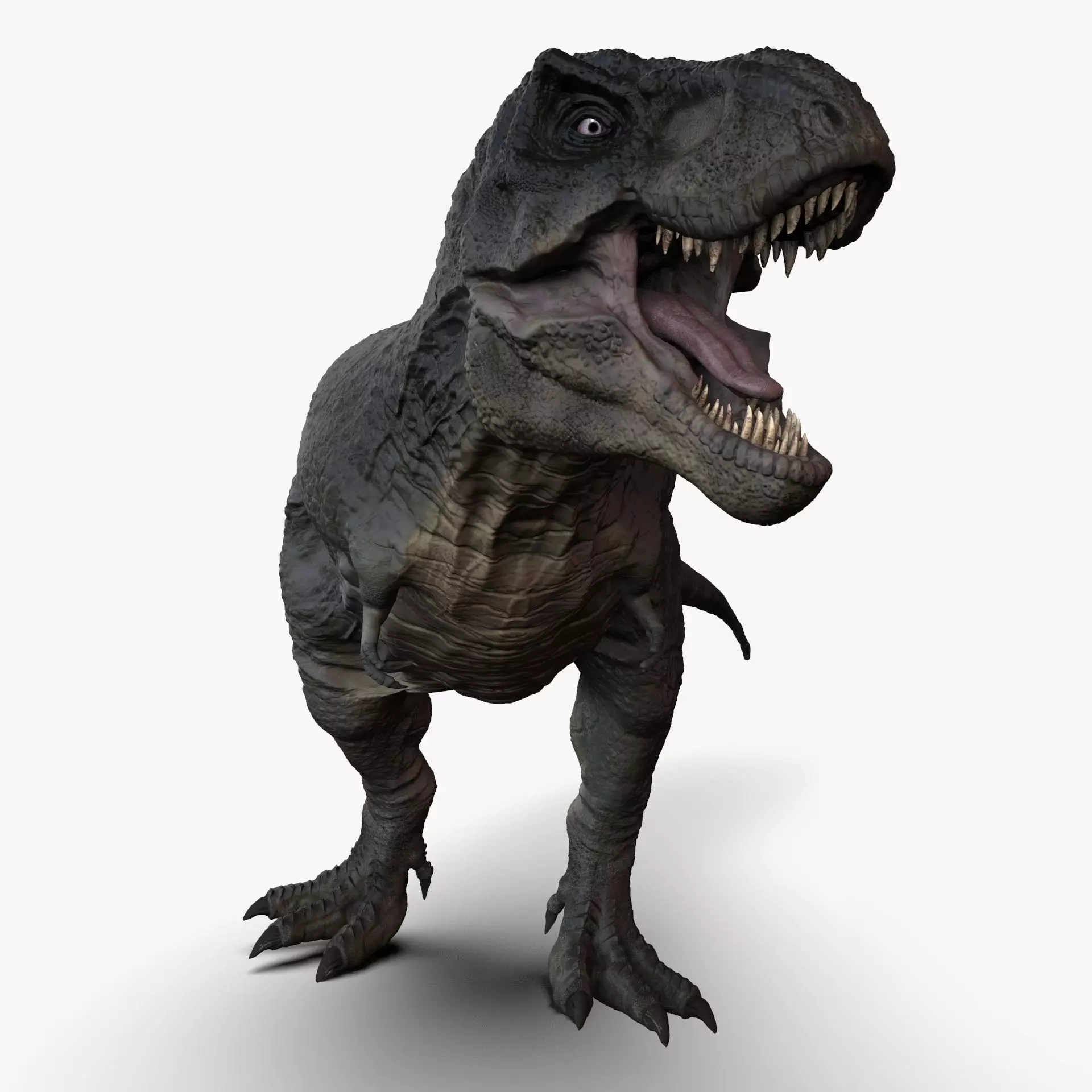 Tarbosaurus Sculpt Model 3D model