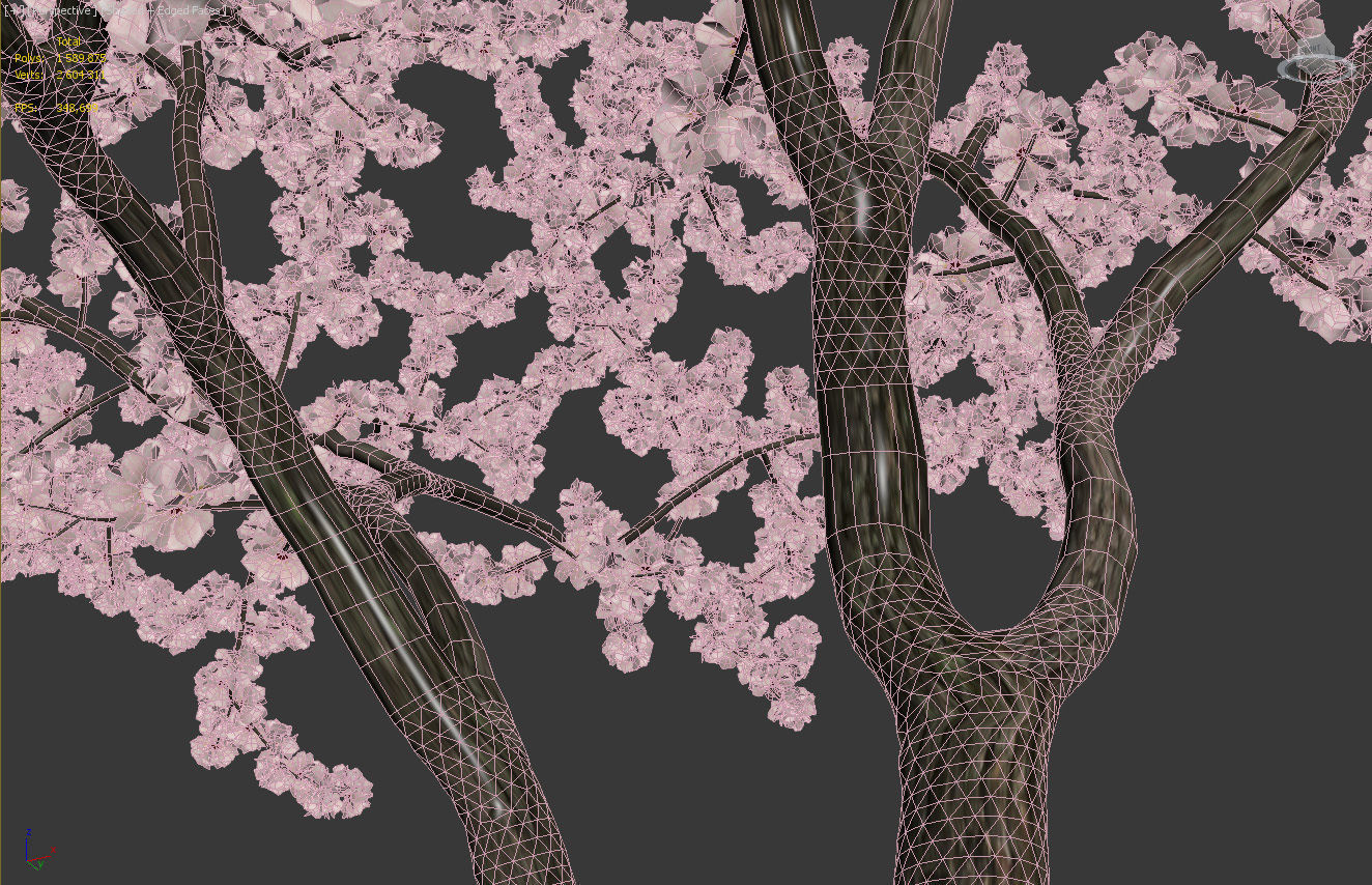 Malus flowering 04 3D model_4