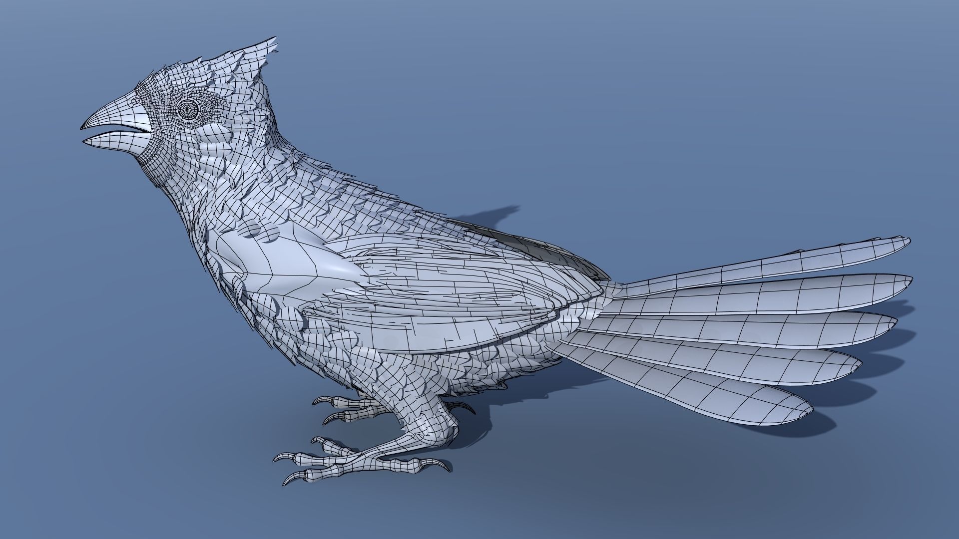 Northern Cardinal - rigged - animated Low-poly 3D model_16