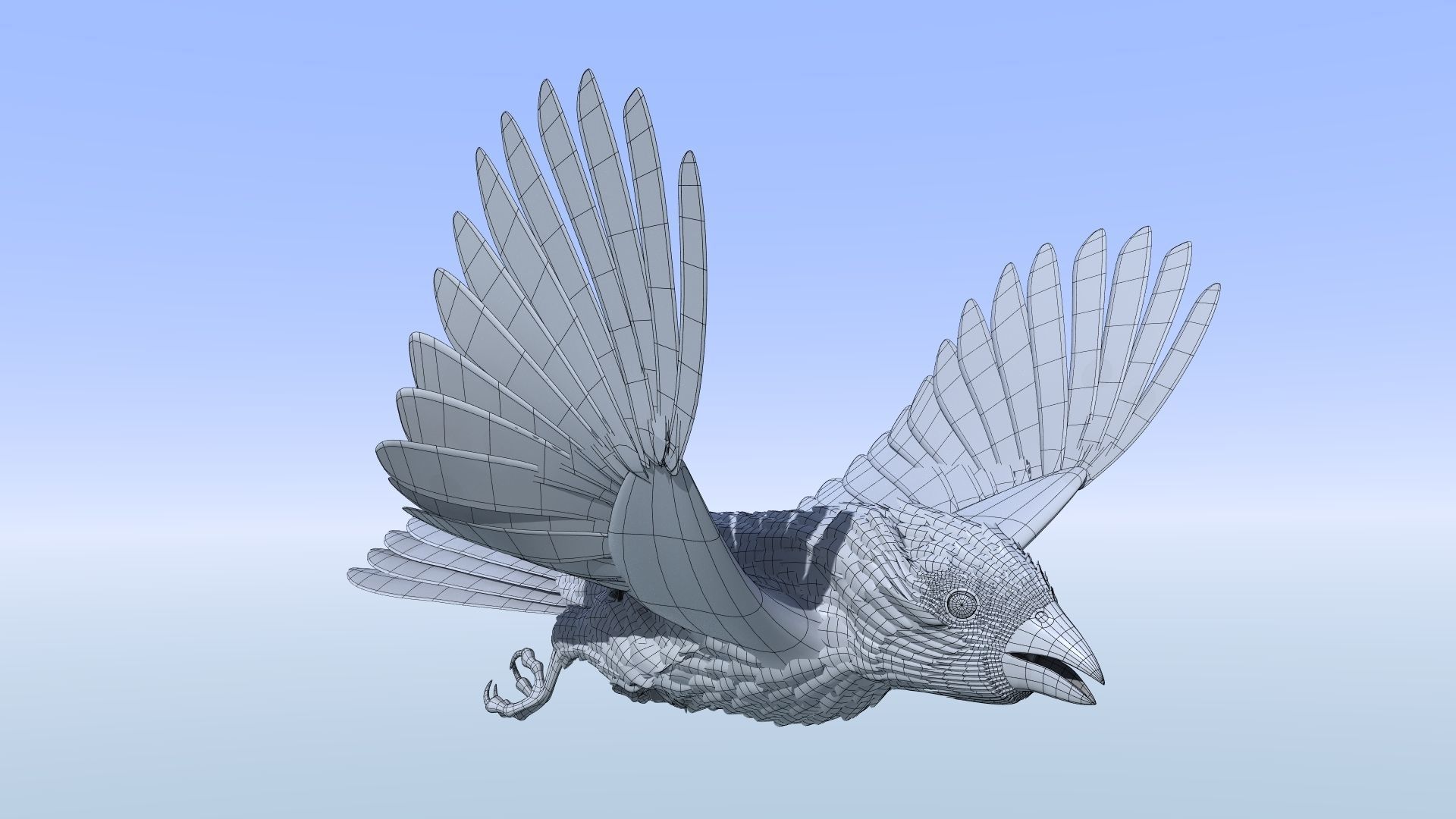 Northern Cardinal - rigged - animated Low-poly 3D model_25